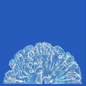 Yes! Come parade with us